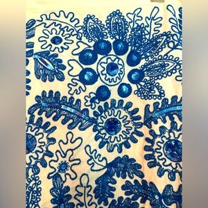 Blue and white skirt. Embroidered and sequin accents.